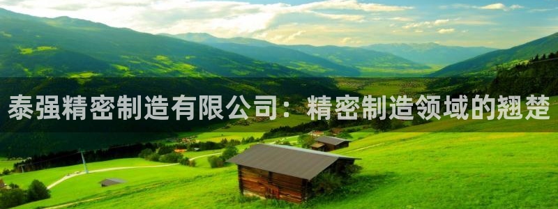 大发彩神最高邀请码