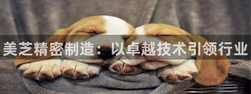 彩神旗下有哪些平台