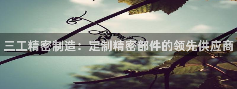 彩神平台能提现吗