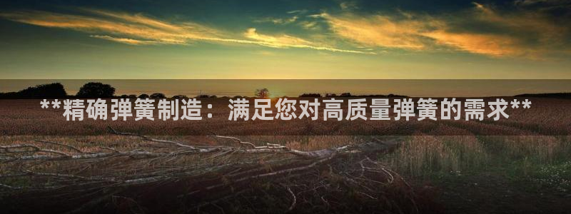彩神数码科技有限公司