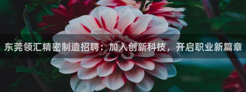 有谁知道彩神争霸的网址