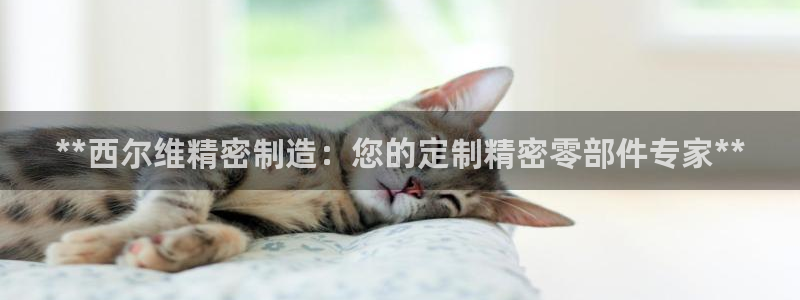 彩神v平台