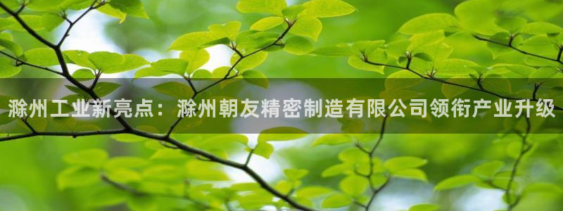 彩神网合法吗