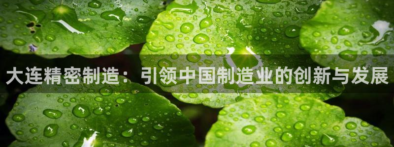 彩神V官网