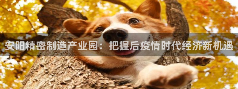 彩神ix可靠吗