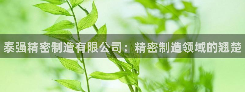 彩神vl购彩大厅：泰强精密制造有限公司：精密制造领域的翘楚