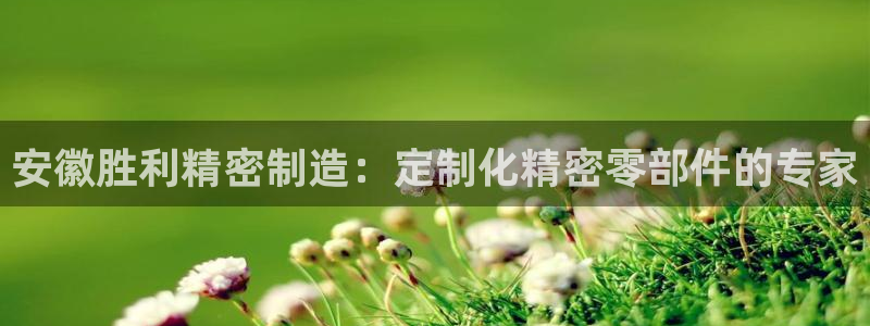 彩神v大众娱乐：安徽胜利精密制造：定制化精密零部件的专家