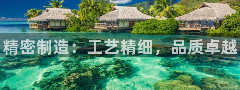大发彩神官网下载：精密制造：工艺精细，品质卓越