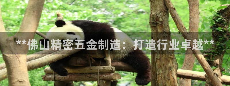 彩神vll购彩大厅大众：**佛山精密五金制造：打造行业卓越**