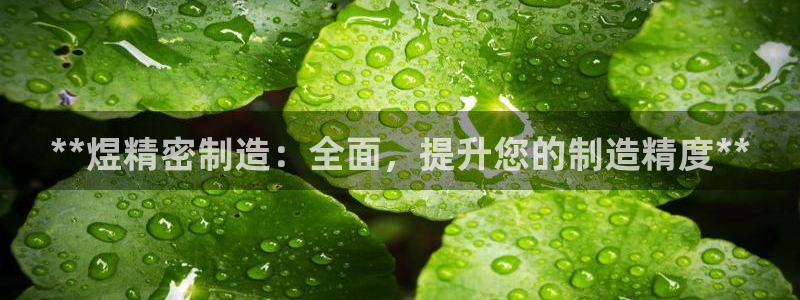 有谁知道彩神争霸的网址：**煜精密制造：全面，提升您的制造精度**