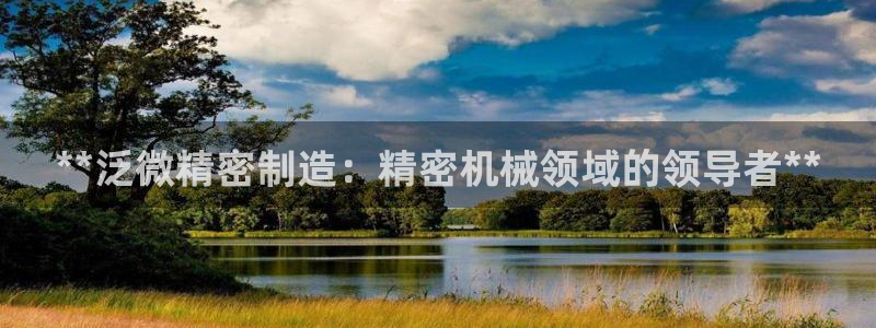 彩神旗下有哪些平台：**泛微精密制造：精密机械领域的领导者**