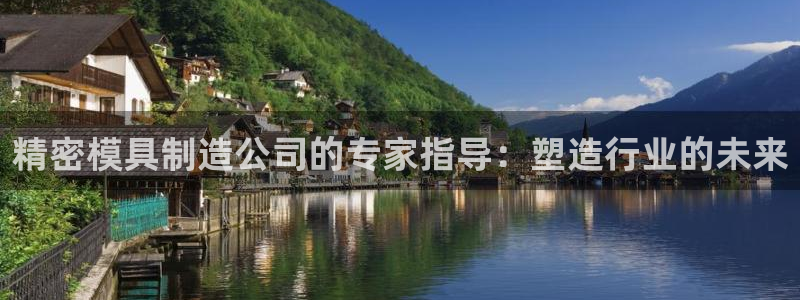 彩神v8手机客户端怎么下载：精密模具制造公司的专家指导：塑造行业的未来