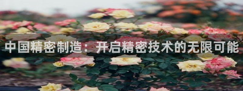 彩神平台是真的吗：中国精密制造：开启精密技术的无限可能