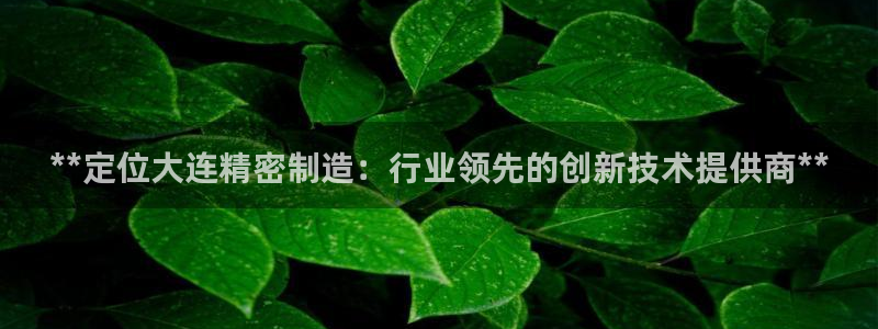 彩神xapp官方网站：**定位大连精密制造：行业领先的创新技术提供商**