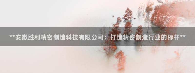 在彩神网输了六万多怎么拿回来：**安徽胜利精密制造科技有限公司：打造精密制造行业的标杆**