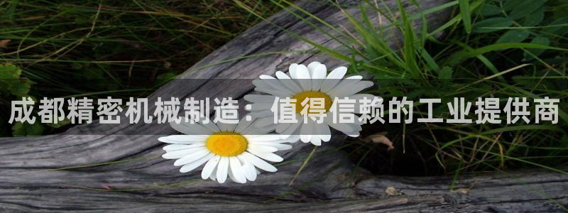彩神V集团公司：成都精密机械制造：值得信赖的工业提供商