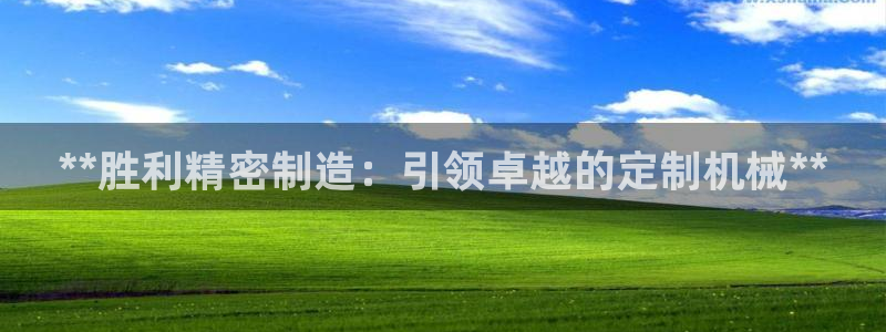 彩神v下载安装：**胜利精密制造：引领卓越的定制机械**