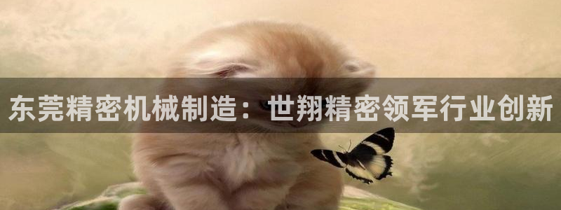 彩神系列平台：东莞精密机械制造：世翔精密领军行业创新