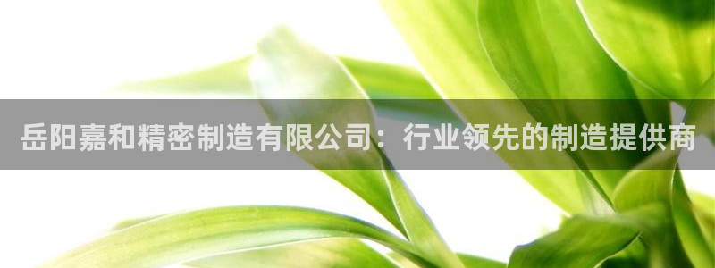 彩神购彩-购彩大厅入口老版：岳阳嘉和精密制造有限公司：行业领先的制造提供商