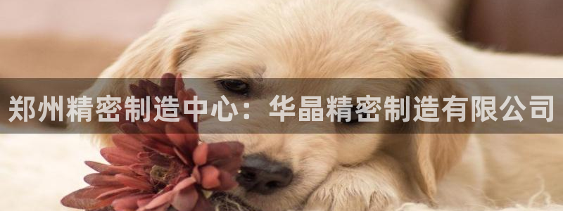 彩神盈利图片：郑州精密制造中心：华晶精密制造有限公司