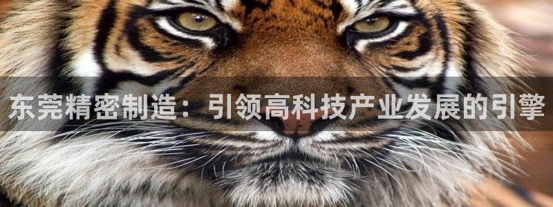 彩神V集团有限公司：东莞精密制造：引领高科技产业发展的引擎