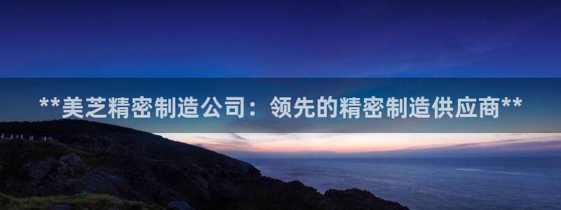 彩神vip购彩大厅下载：**美芝精密制造公司：领先的精密制造供应商**