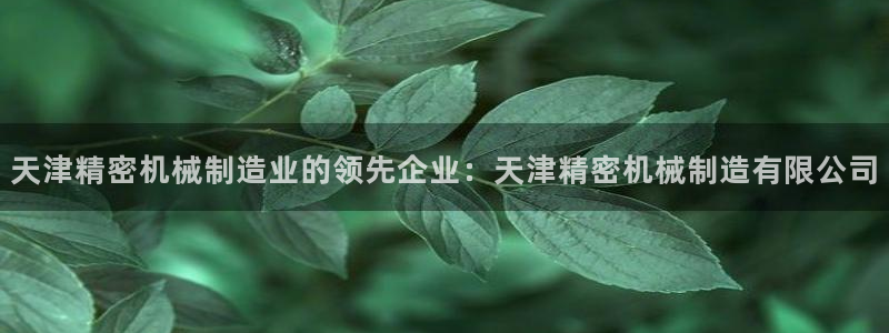 彩神大发三期计划网站：天津精密机械制造业的领先企业：天津精密机械制造有限公司