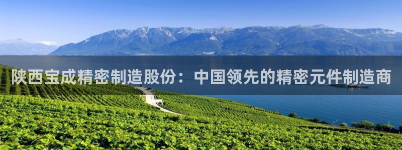 彩神8是正规平台吗是正品吗：陕西宝成精密制造股份：中国领先的精密元件制造商