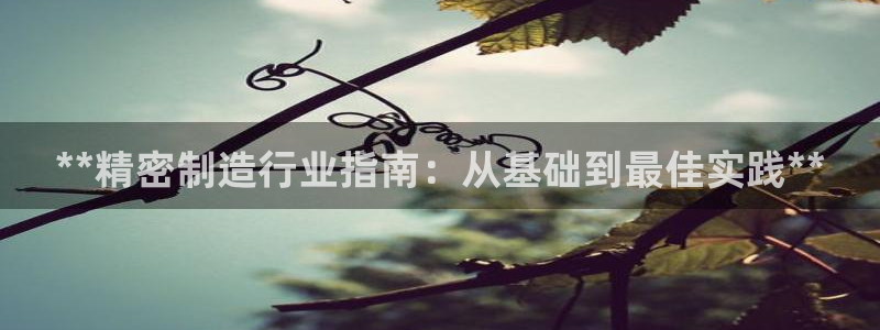 彩神通关注码金码对应码：**精密制造行业指南：从基础到最佳实践**