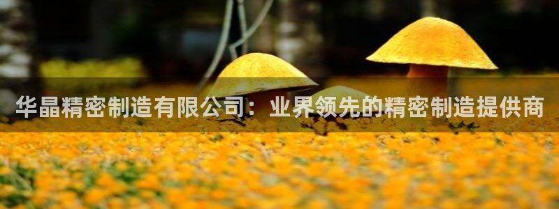 彩神合法吗.是国家认可的吗：华晶精密制造有限公司：业界领先的精密制造提供商