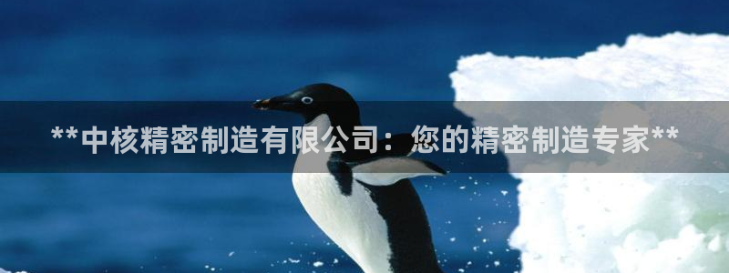 彩神V8平台：**中核精密制造有限公司：您的精密制造专家**
