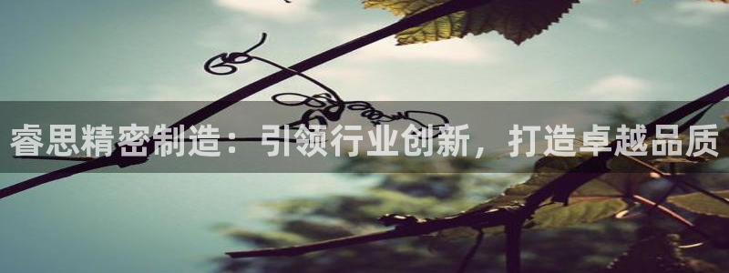 彩神赢钱了吗是真的吗：睿思精密制造：引领行业创新，打造卓越品质