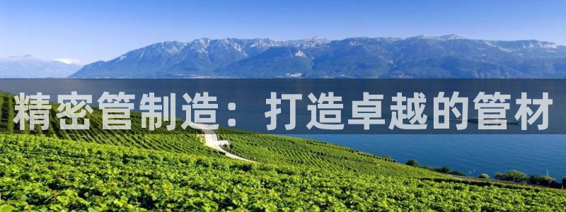 彩神v8下载：精密管制造：打造卓越的管材