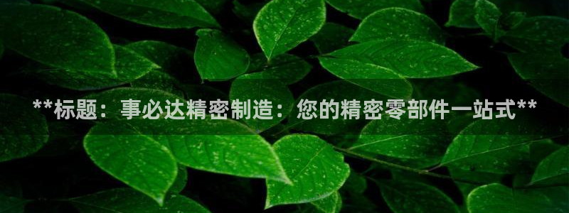彩神v8客户端：**标题：事必达精密制造：您的精密零部件一站式**