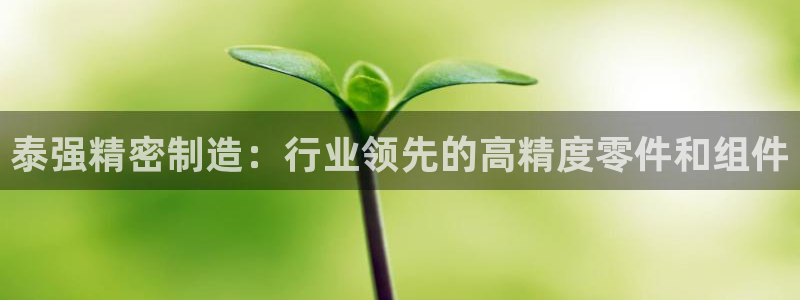 彩神大发三期计划网站：泰强精密制造：行业领先的高精度零件和组件