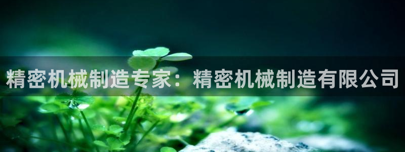 彩神趣购彩用户注册：精密机械制造专家：精密机械制造有限公司
