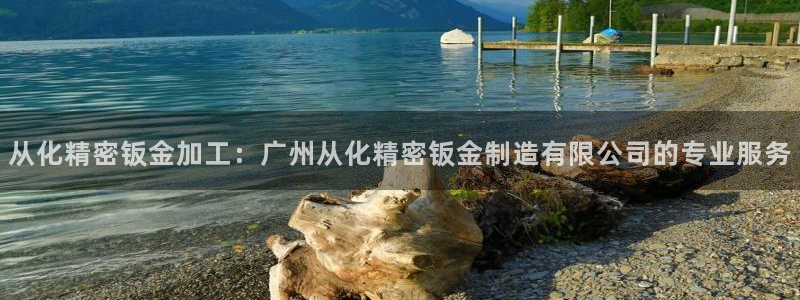 彩神v网赌软件下载