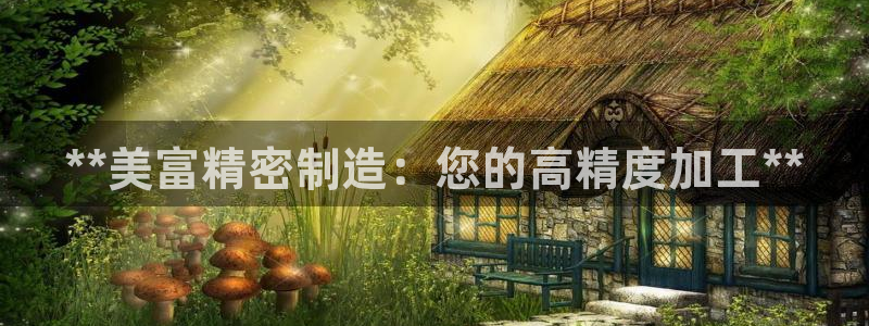 彩神争霸官网登录平台：**美富精密制造：您的高精度加工**