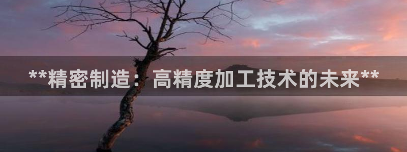 彩神v8是一个什么平台：**精密制造：高精度加工技术的未来**