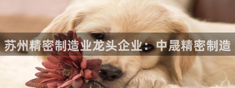 彩神8是正规平台吗