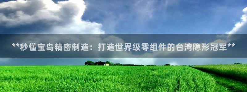 彩神赢了钱登录不上去：**秒懂宝岛精密制造：打造世界级零组件的台湾隐形冠军**