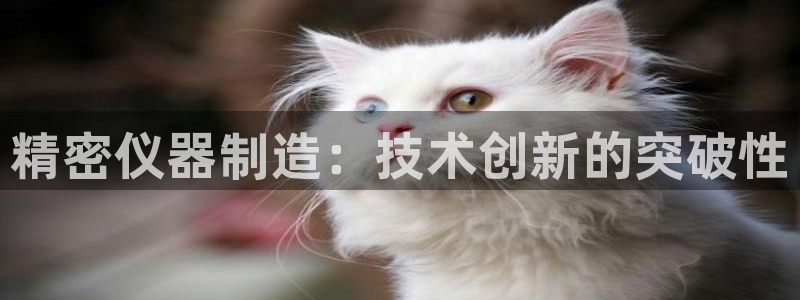 彩神v：精密仪器制造：技术创新的突破性