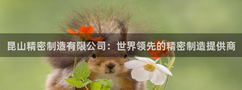 彩神vii手游下载：昆山精密制造有限公司：世界领先的精密制造提供商