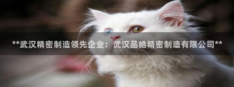 彩神vlll游戏特色：**武汉精密制造领先企业：武汉品皓精密制造有限公司**