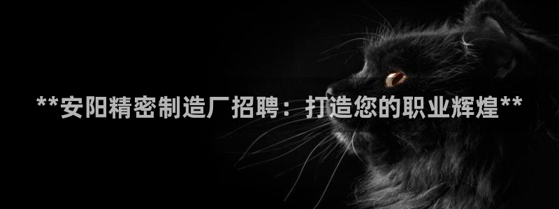 彩神vll首页企业文化：**安阳精密制造厂招聘：打造您的职业辉煌**