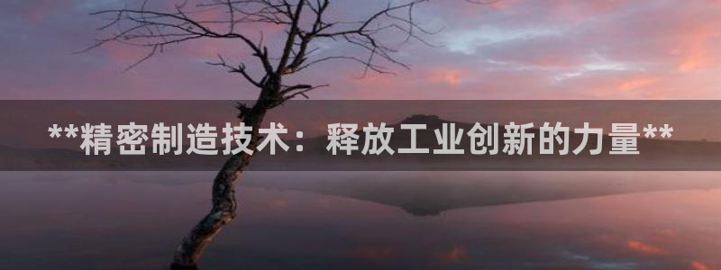 彩神旗下有哪些平台：**精密制造技术：释放工业创新的力量**
