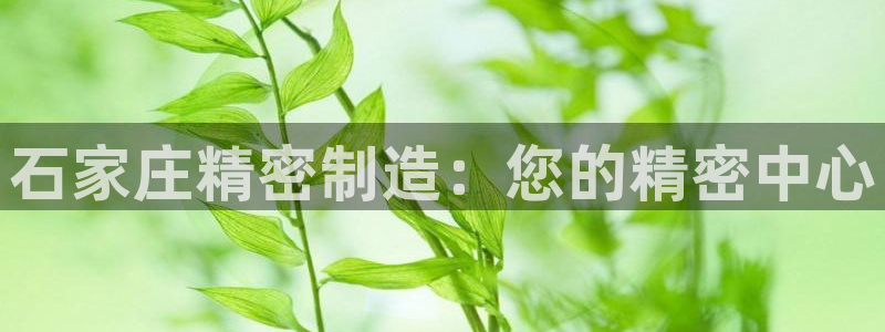 彩神是正规平台吗是真的吗：石家庄精密制造：您的精密中心