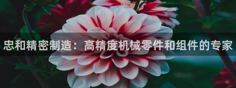 彩神v平台：忠和精密制造：高精度机械零件和组件的专家