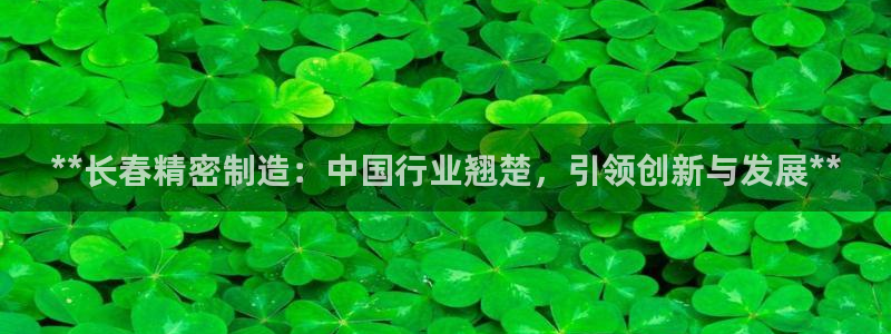 彩神8官网版：**长春精密制造：中国行业翘楚，引领创新与发展**