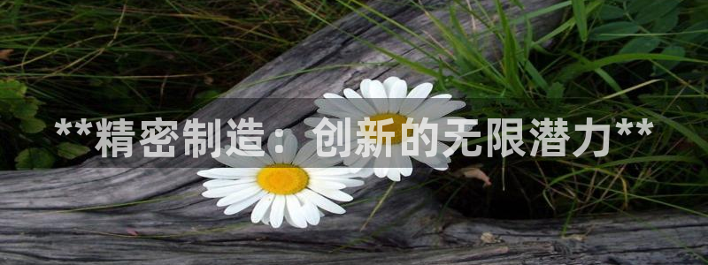 彩神V官网：**精密制造：创新的无限潜力**